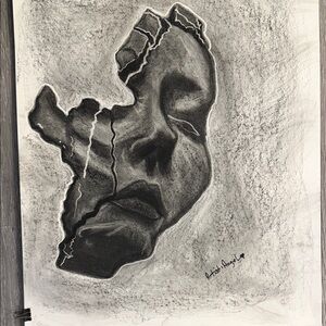 Abstract Charcoal Face Art by